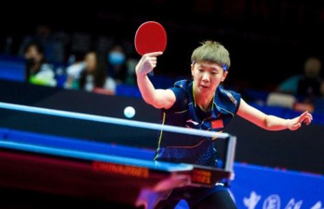 的年轻新星 的年轻新星