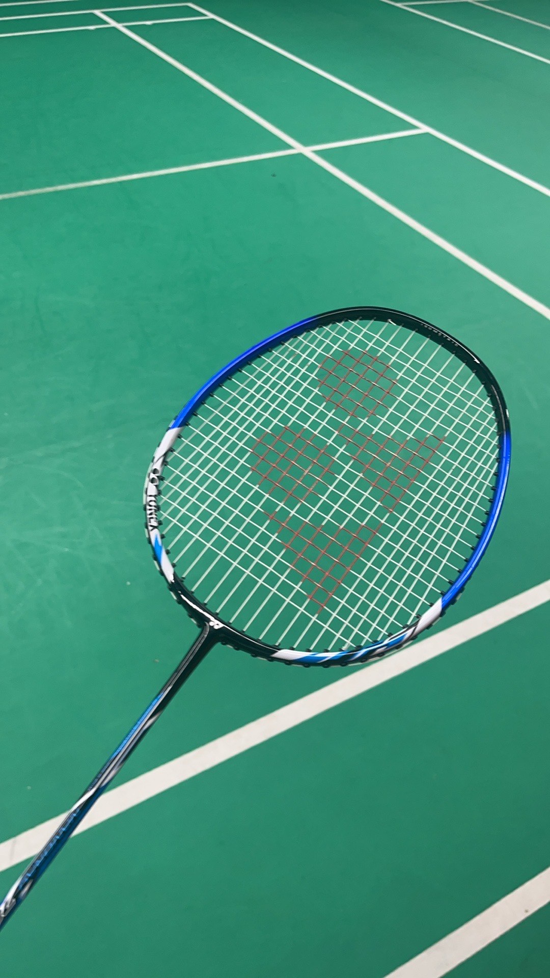 赢得比赛的 赢得比赛的