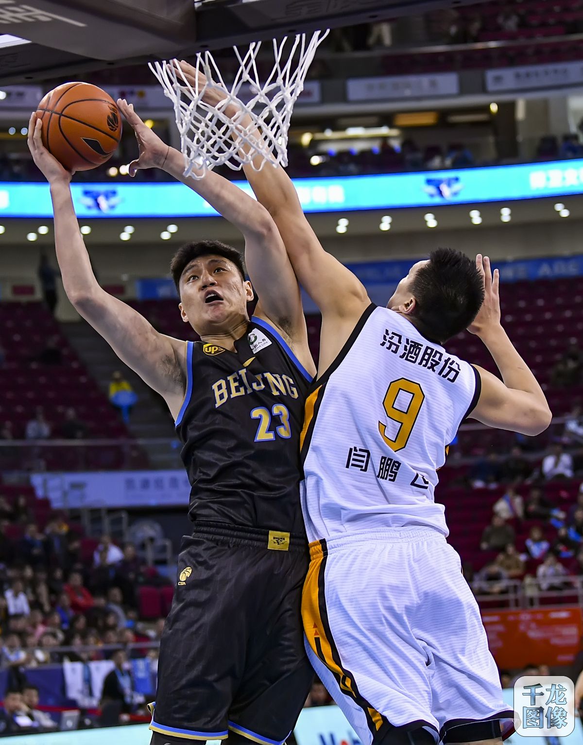 医学指导 医学指导